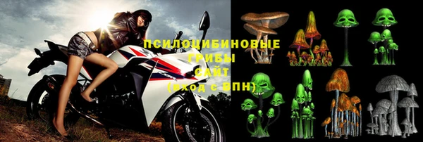 гашик Бронницы