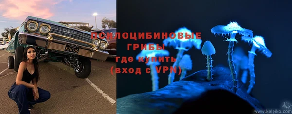 прущая мука Бородино