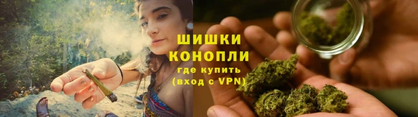 гашик Бронницы