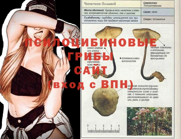твердый Верея