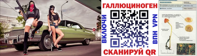 закладка Городовиковск Галлюциногенные грибы Cubensis